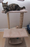 Model 39 - 3' Tall Multi-Surface Cat Tree