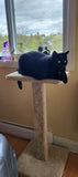 Model 23 - 36" Tall Cat Scratch Post With Platform