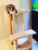 Model 39 - 3' Tall Multi-Surface Cat Tree