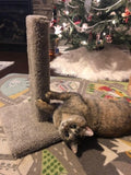 Model 27 - 18" Carpeted Cat Scratch Post