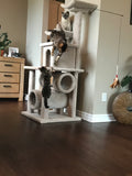 Model 14 - 58" Tall Cat Tree
