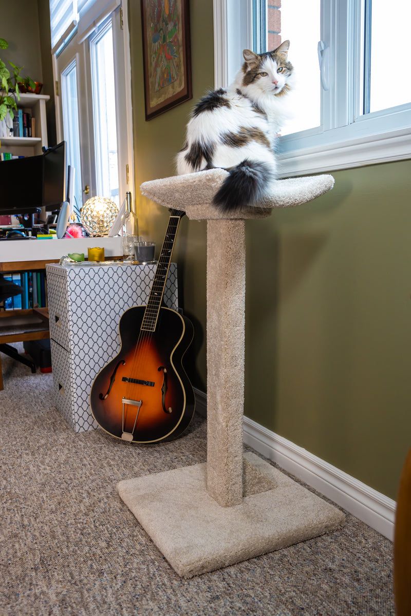 Cat Tree Model 24 Black Diamond Cat Trees