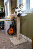 Model 24 - 35" Tall Cat Scratch Post With Lounge Bed