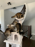 Model 14 - 58" Tall Cat Tree
