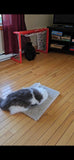 Model 13 - Kitty Cat Yoga Mat