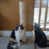 Model 28- 36: 36" Cedar Cat Scratch Post