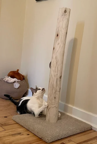Model 28- 36: 36" Cedar Cat Scratch Post