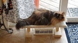 Model 38 - Over-Register Cat Bed