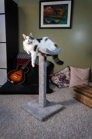 Model 24 - 35" Tall Cat Scratch Post With Lounge Bed