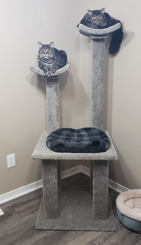 Model 16 - 58'' Tall Cat Tree