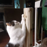 Cedar Scratch Posts for Cats