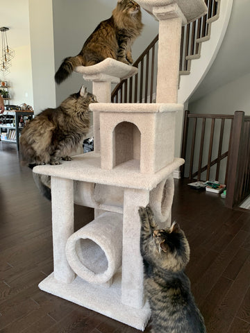 Model 14 - 58" Tall Cat Tree